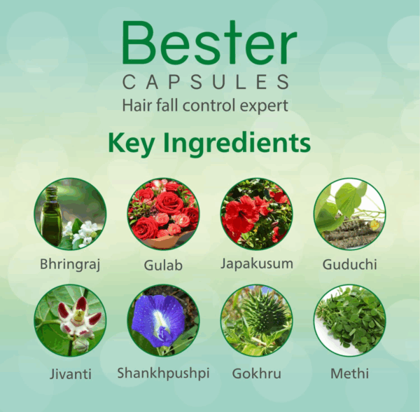 Bester Capsules - Hair Growth - Image 2